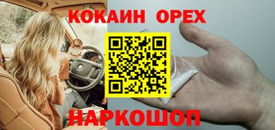 крисы Краснодар