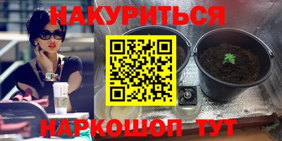 крисы Краснодар