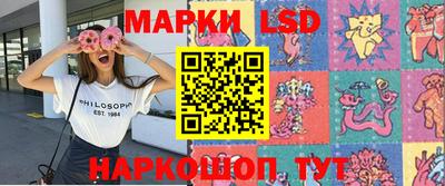 крисы Краснодар