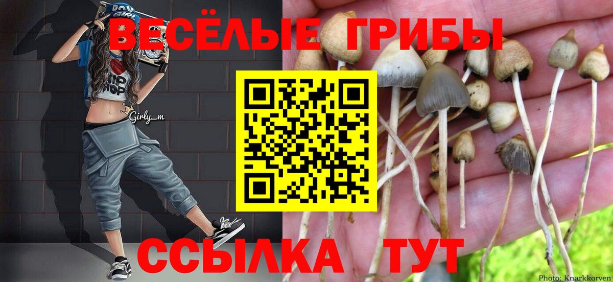 Галлюциногенные грибы Psilocybe  Псилоцибиновые грибы мицелий  Чебоксары  Вход с VPN 