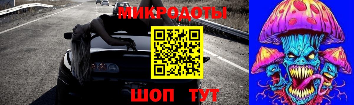 Псилоцибиновые грибы Psilocybe Чебоксары